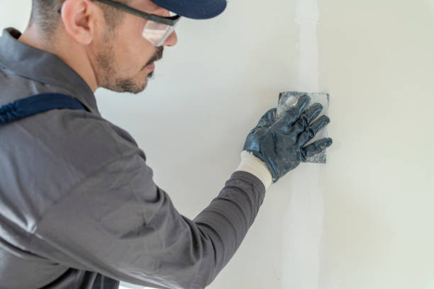 Best Basement Mold Removal  in Hawaiian Ocean View, HI