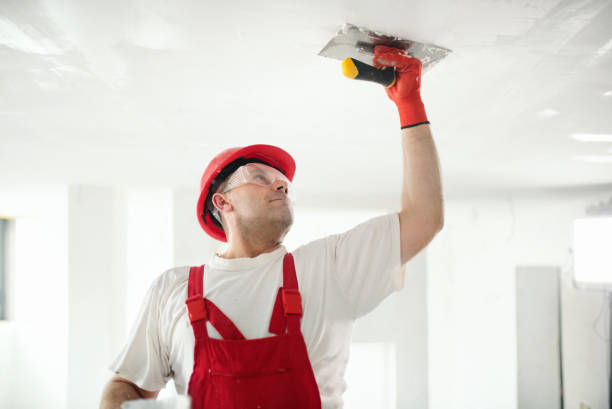 Best Forensic Mold Investigation  in Hawaiian Ocean View, HI