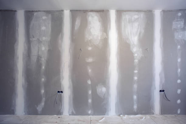 Best Attic Mold Removal  in Hawaiian Ocean View, HI